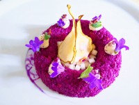 /album/daniela-cicioni/cavolo-rosso-agrodolce-crema-di-sedano-rapa-pere-jpg/